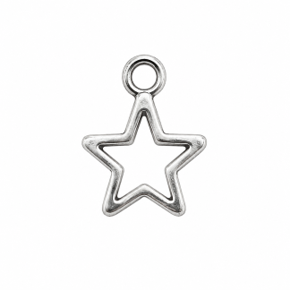 Shoreline Sea Star Small Charm
