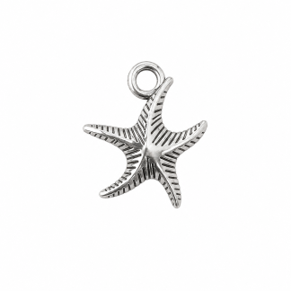 Laguna Star Small Charm
